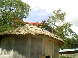 lorryIMG_20150528_162356