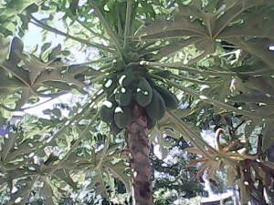 michaelaIMG_20070222_012445