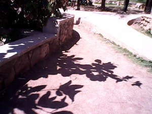 michaelaIMG_20070223_021546