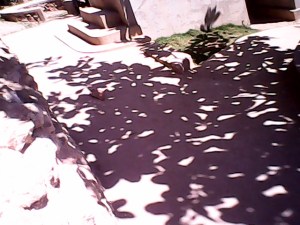 michaelaIMG_20070223_021617